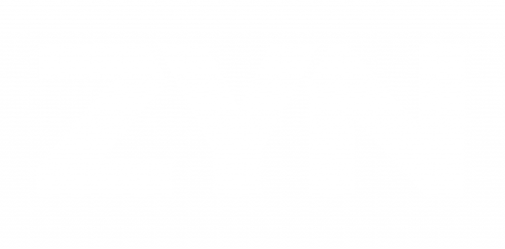 Zyn logo